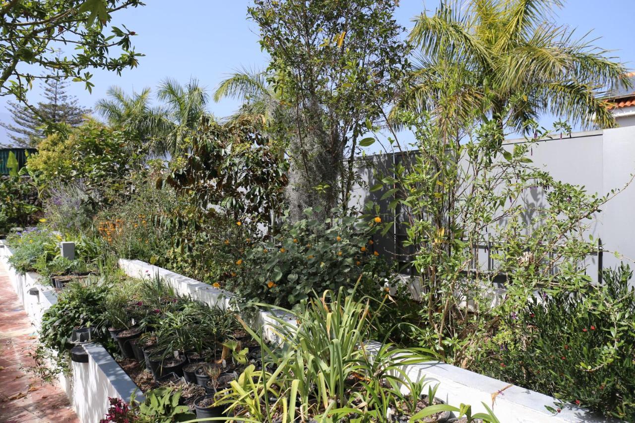 Jungle Paradise La Orotava Dış mekan fotoğraf
